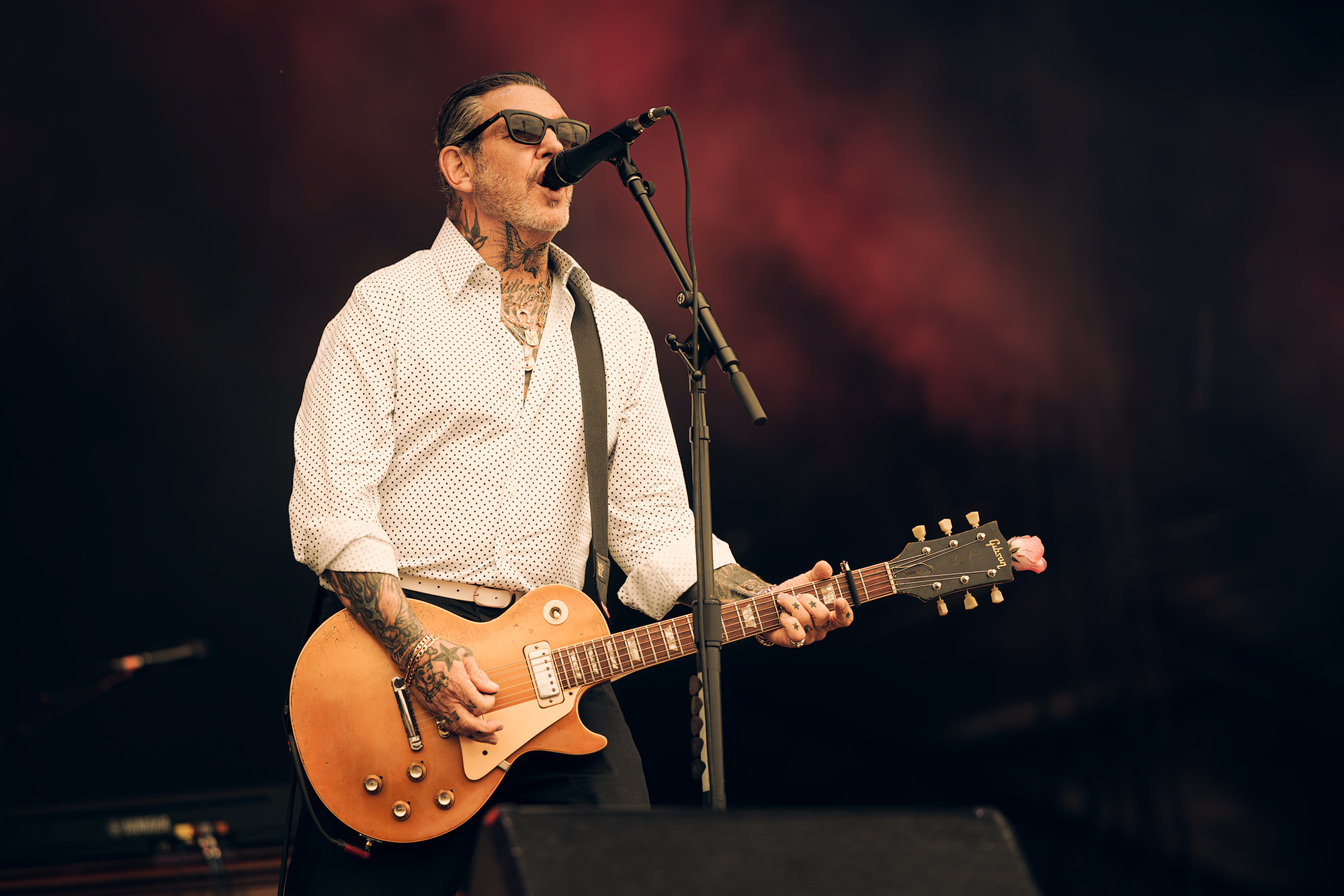 Social Distortion in concert